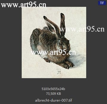albrecht durer
