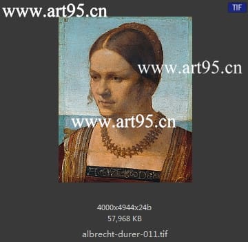 albrecht durer