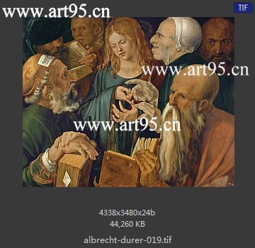 albrecht durer