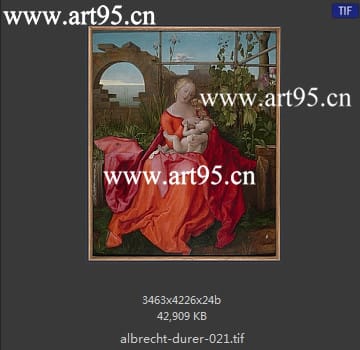 albrecht durer
