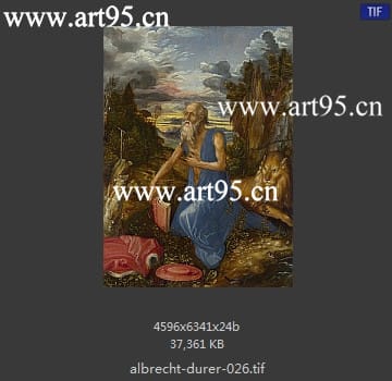 albrecht durer