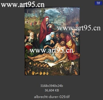 albrecht durer