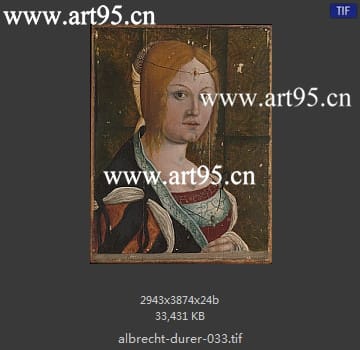 albrecht durer