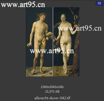 albrecht durer