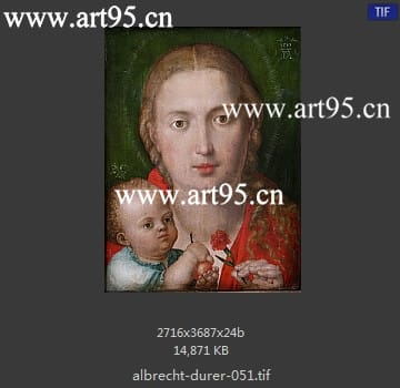 albrecht durer