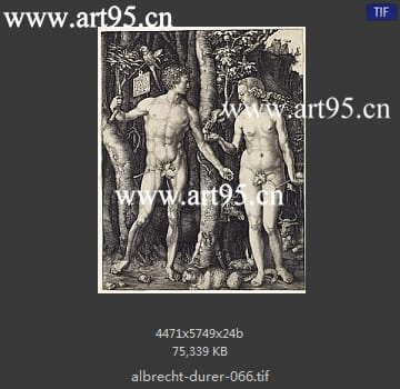 albrecht durer