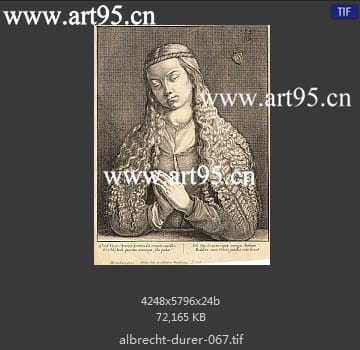 albrecht durer