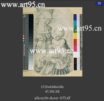 albrecht durer