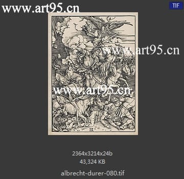 albrecht durer