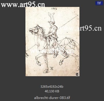 albrecht durer