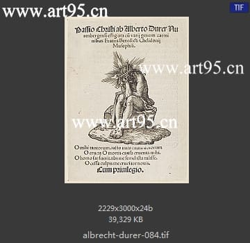 albrecht durer