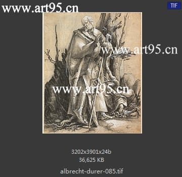 albrecht durer