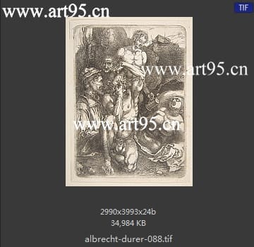 albrecht durer