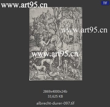 albrecht durer