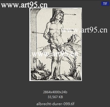 albrecht durer