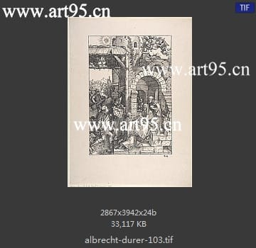 albrecht durer