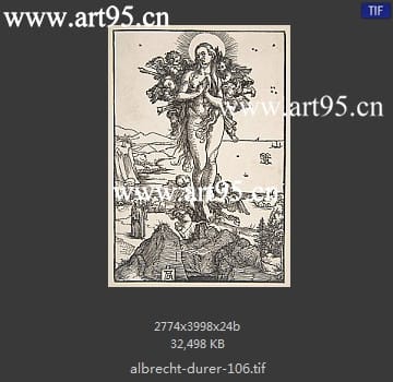 albrecht durer