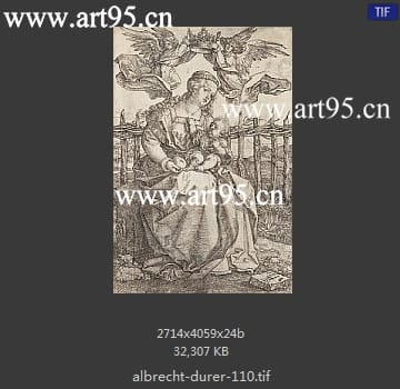 albrecht durer