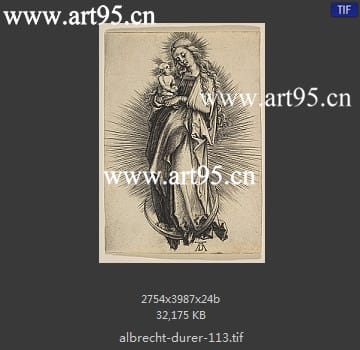 albrecht durer