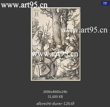 albrecht durer