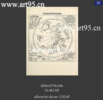 albrecht durer