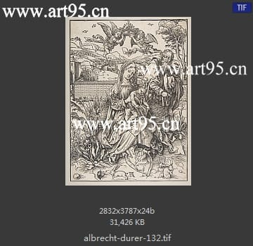 albrecht durer