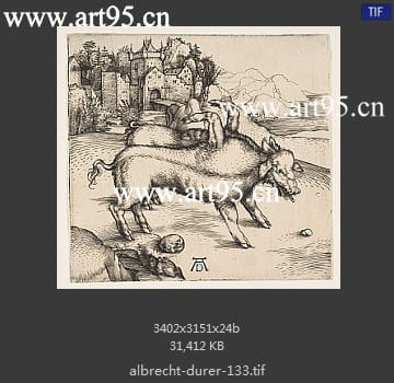 albrecht durer