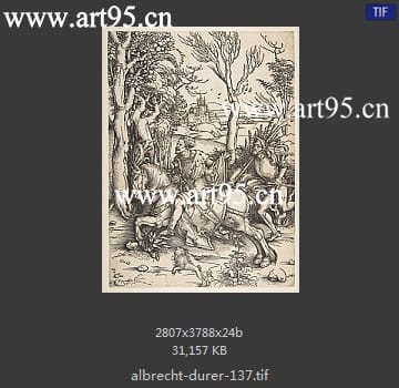 albrecht durer
