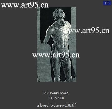 albrecht durer