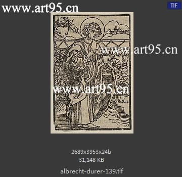 albrecht durer