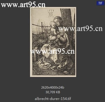 albrecht durer