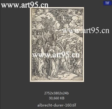 albrecht durer