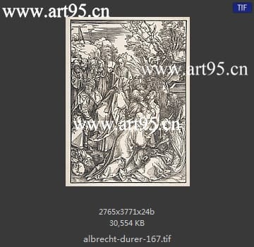 albrecht durer