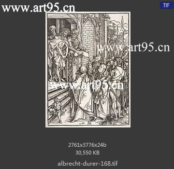 albrecht durer