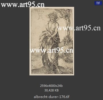 albrecht durer