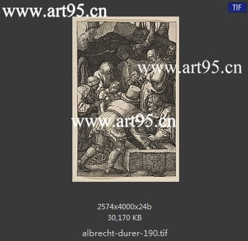 albrecht durer