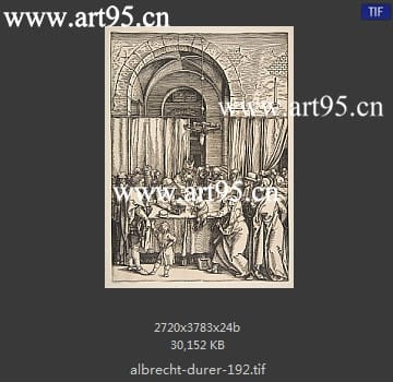 albrecht durer