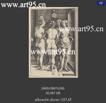 albrecht durer