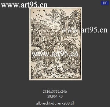 albrecht durer