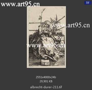 albrecht durer
