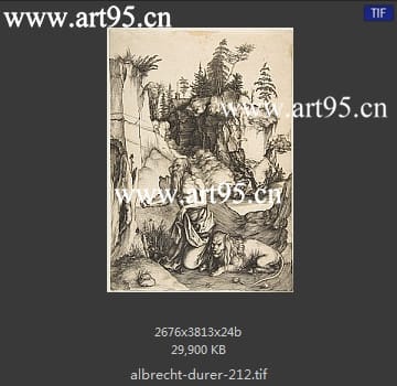 albrecht durer