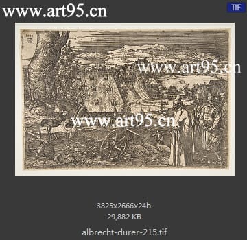 albrecht durer