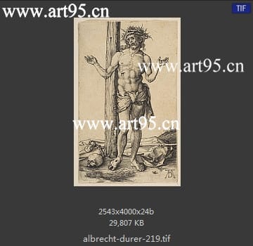 albrecht durer