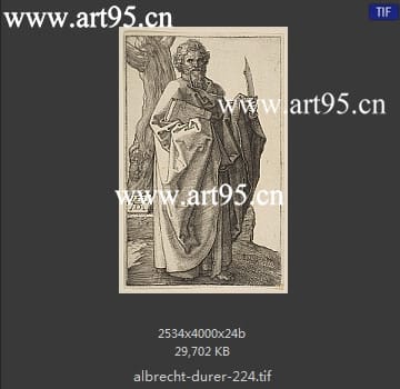 albrecht durer