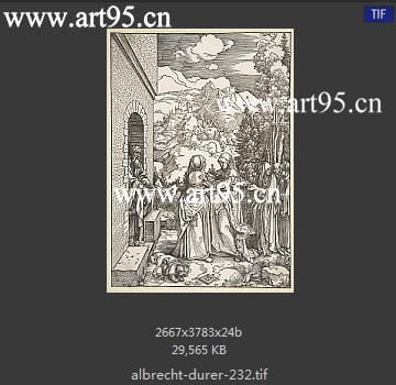 albrecht durer