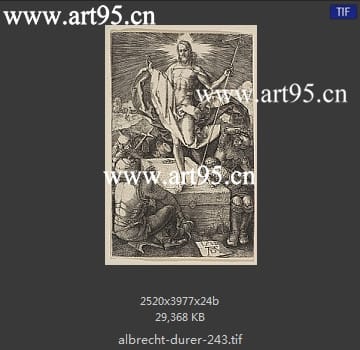 albrecht durer