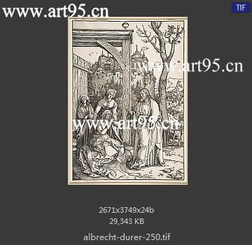 albrecht durer