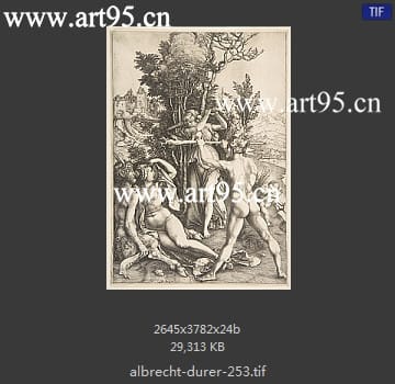 albrecht durer