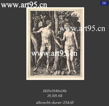 albrecht durer