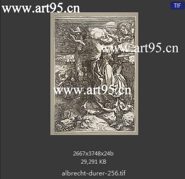 albrecht durer
